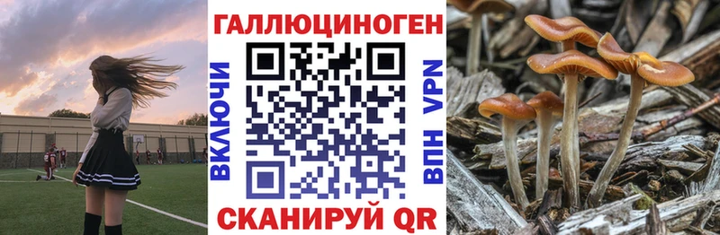 kraken tor  Томилино  Псилоцибиновые грибы мухоморы 